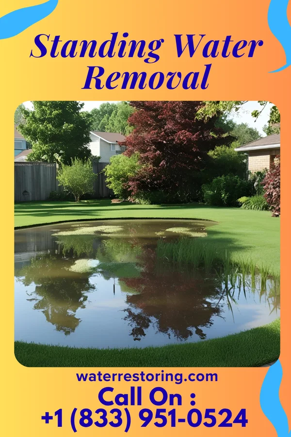 Standing Water Removal in Raymond, WI